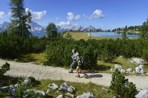 numerous hiking routes in Hinterstoder for beginners and advanced hikers.  | © TVB Roebl