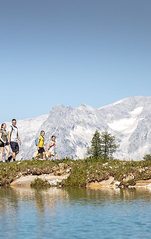 Bergsommer_Hinterstoder_Fotoquelle ALPRIMA Hinterramskogler (10).jpg
